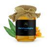 Miel Eucalyptus du Maroc - Terre Délice