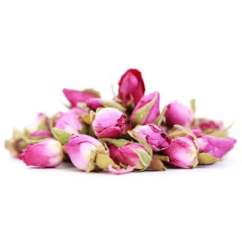 Roses fraîches cueillies pour la distillation de l'eau de rose au Maroc
