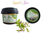 Savon beldi à la menthe pouliot