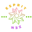 Blog 12 Esprizen