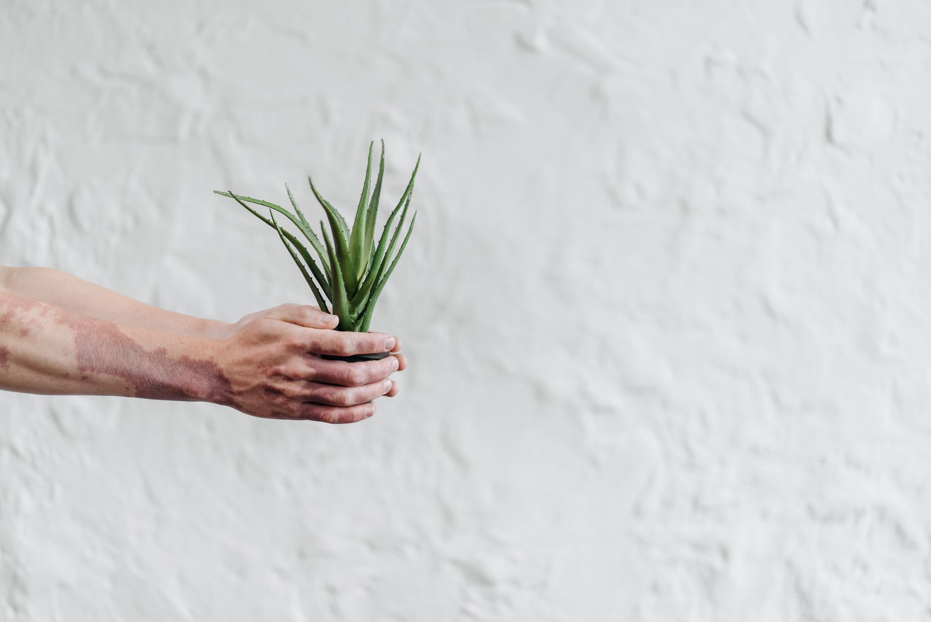 Peau sensible et réactive : quels ingrédients cosmétiques éviter ? 3 Actifs naturels apaisants adaptés aux peaux sensibles : aloe vera, glycérine végétale, karité